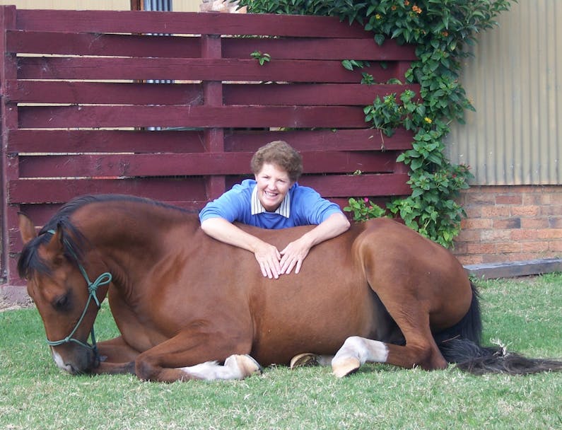 Image of the event 'Games Horses Love to Play with Humans'