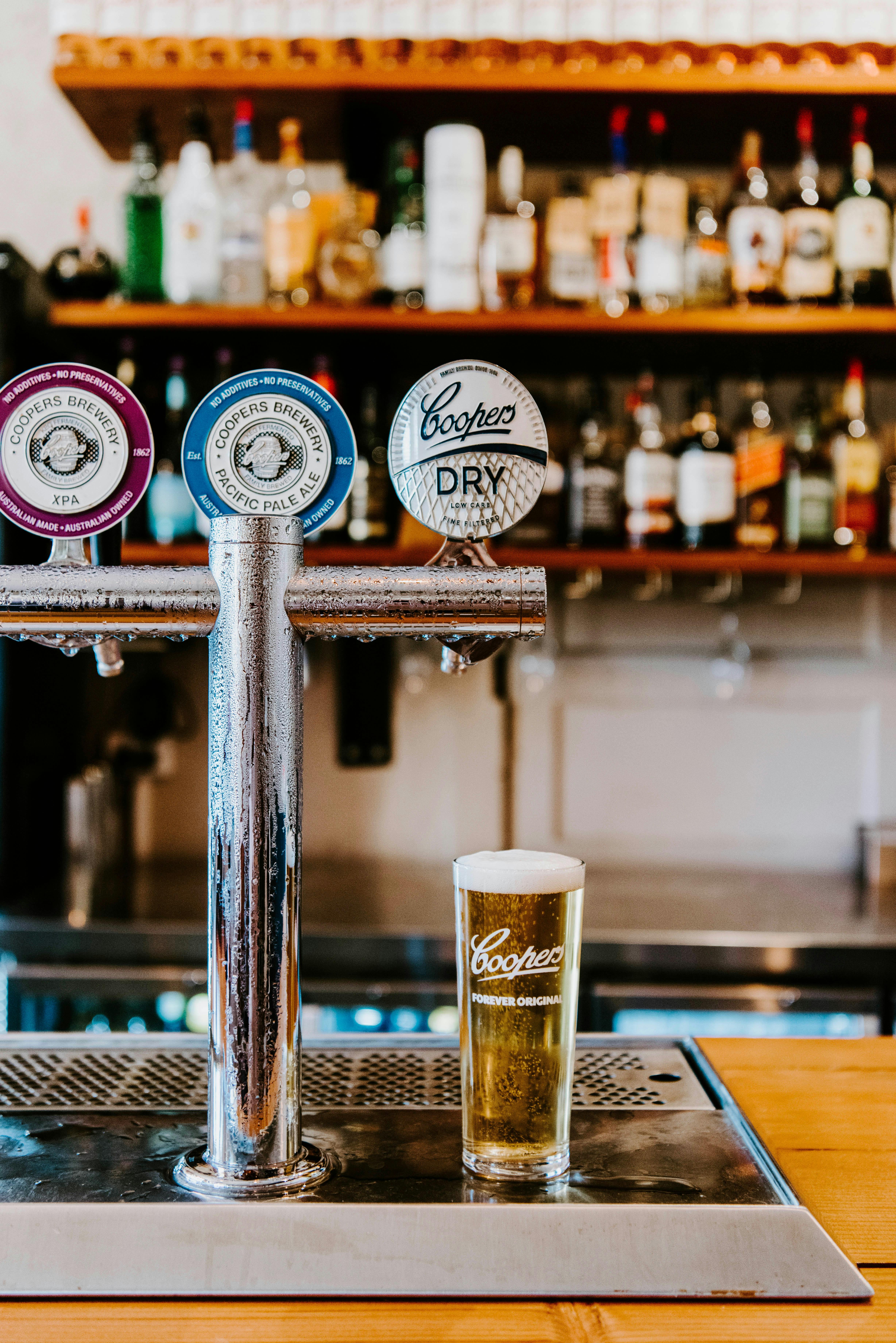 Selection of tap beers; Coopers XPA, Coopers Pacific Pale Ale and Coopers Dry. Beer in schooner