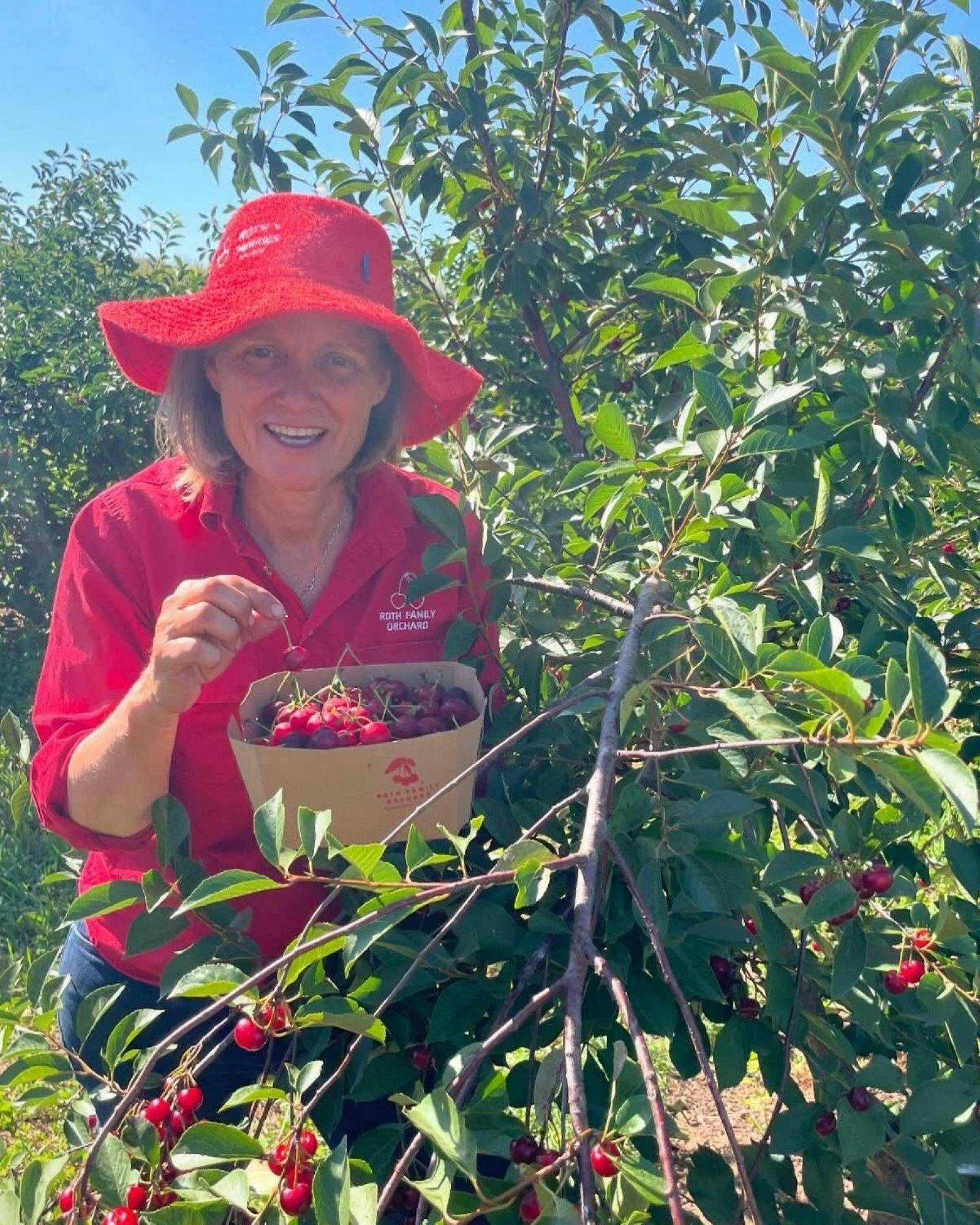 Person holding cherry