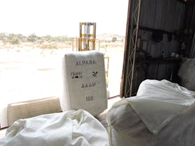 Alpana Station Tours visit the shearing shed