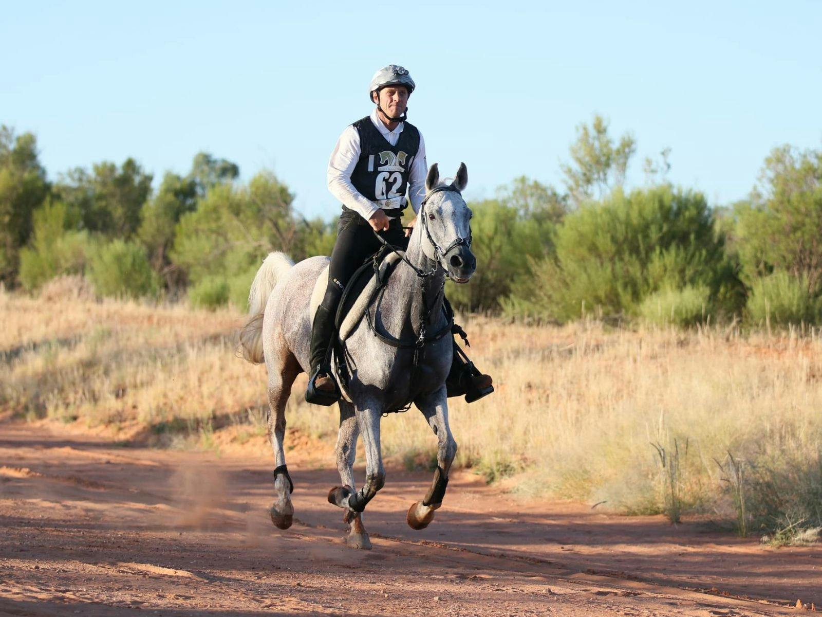 Man riding horse in bush