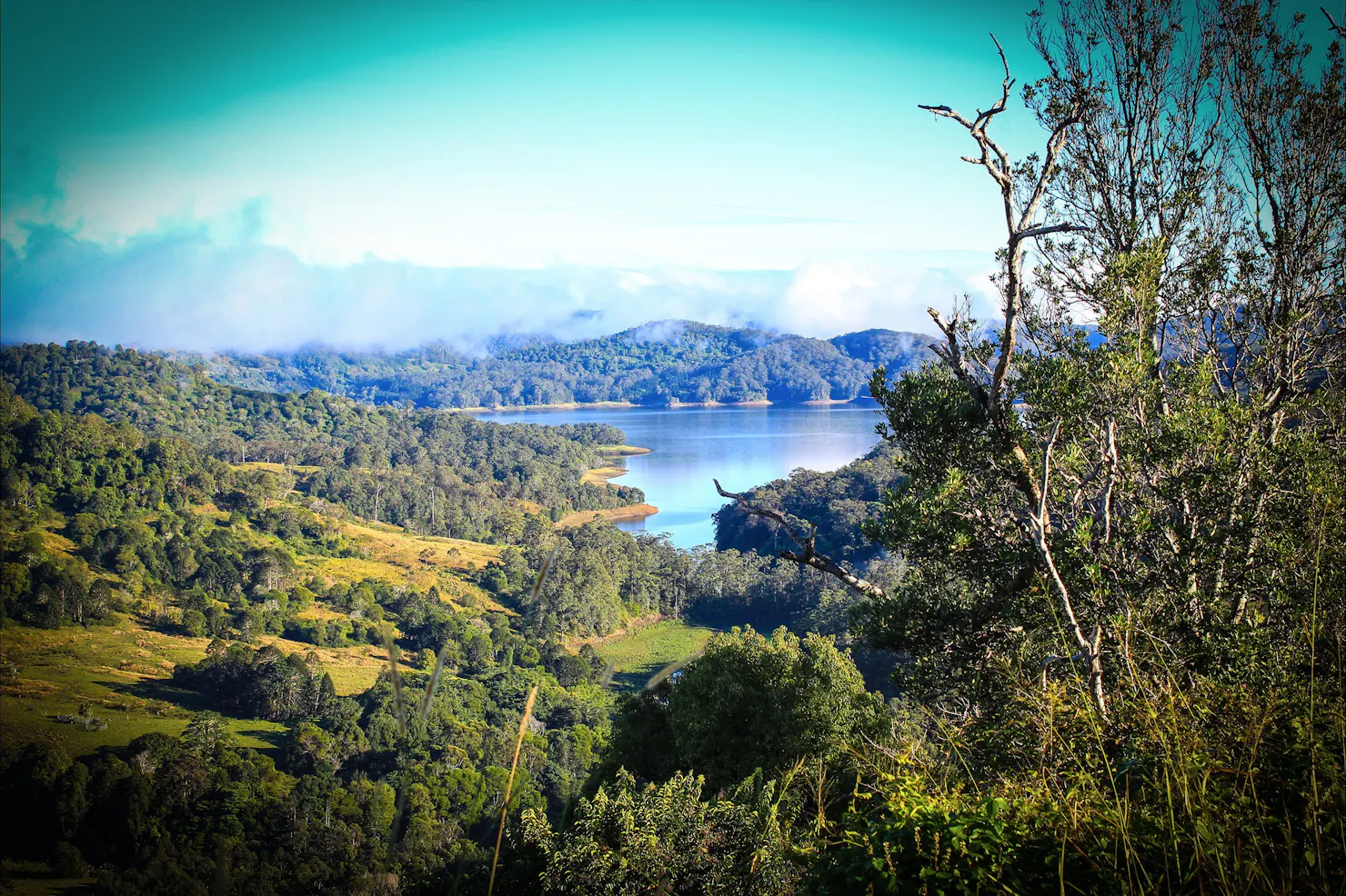 Baroon Pocket Dam, Sunshine Coast