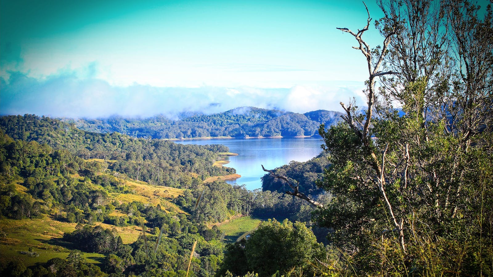 Baroon Pocket Dam