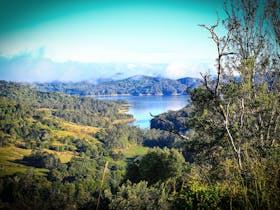 Baroon Pocket Dam