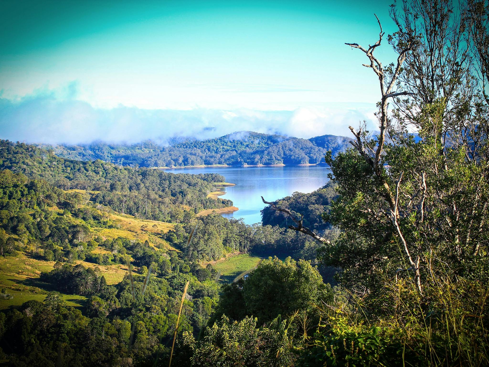 Baroon Pocket Dam, Sunshine Coast Baroon Pocket Dam, Sunshine Coast