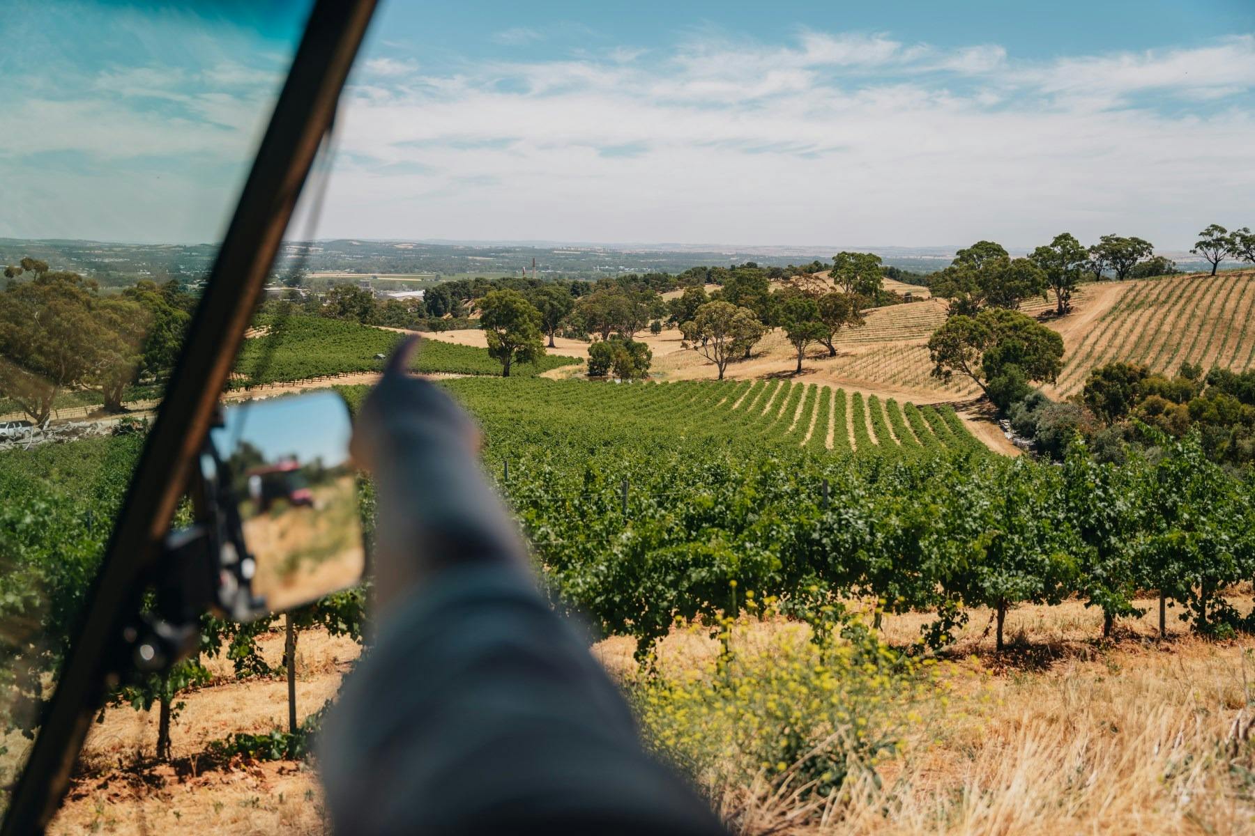 EcoVine Explorer - vineyard e-cart tours