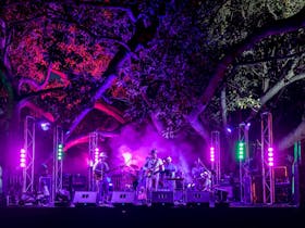 Outdoor Stage - Under the Figs