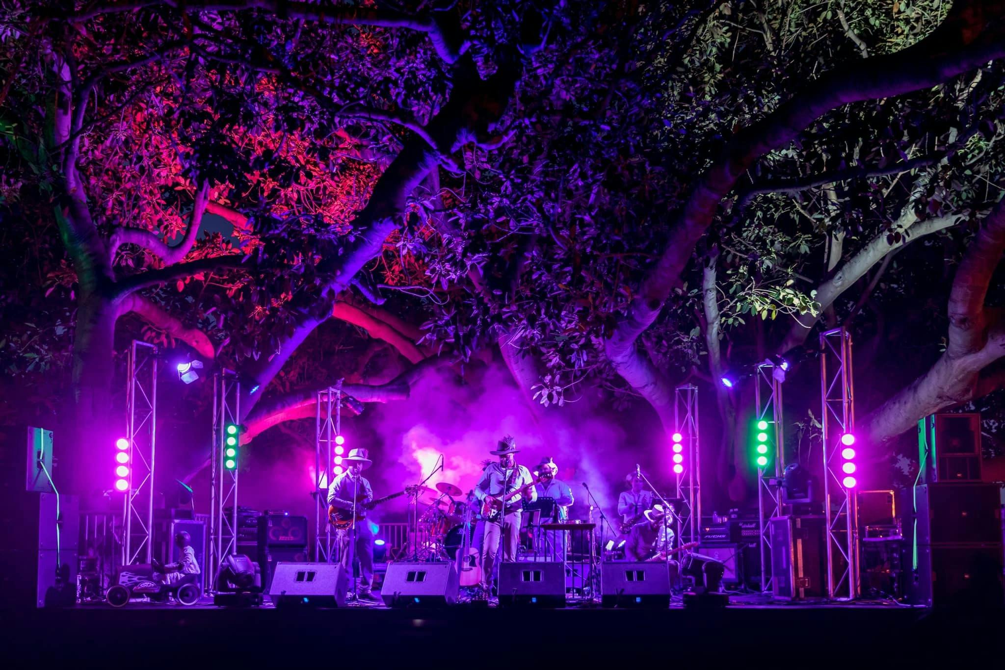 Outdoor Stage - Under the Figs