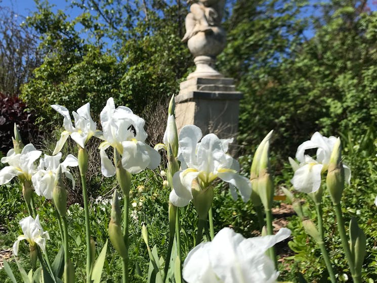 The white garden in spring made famous by the great garden Sissinghurst