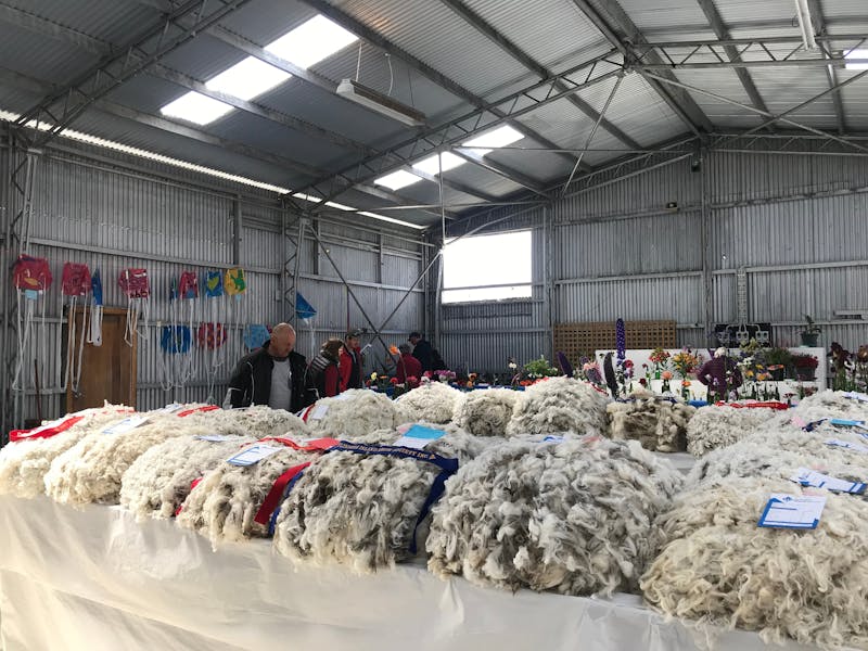 Flinders Island Show