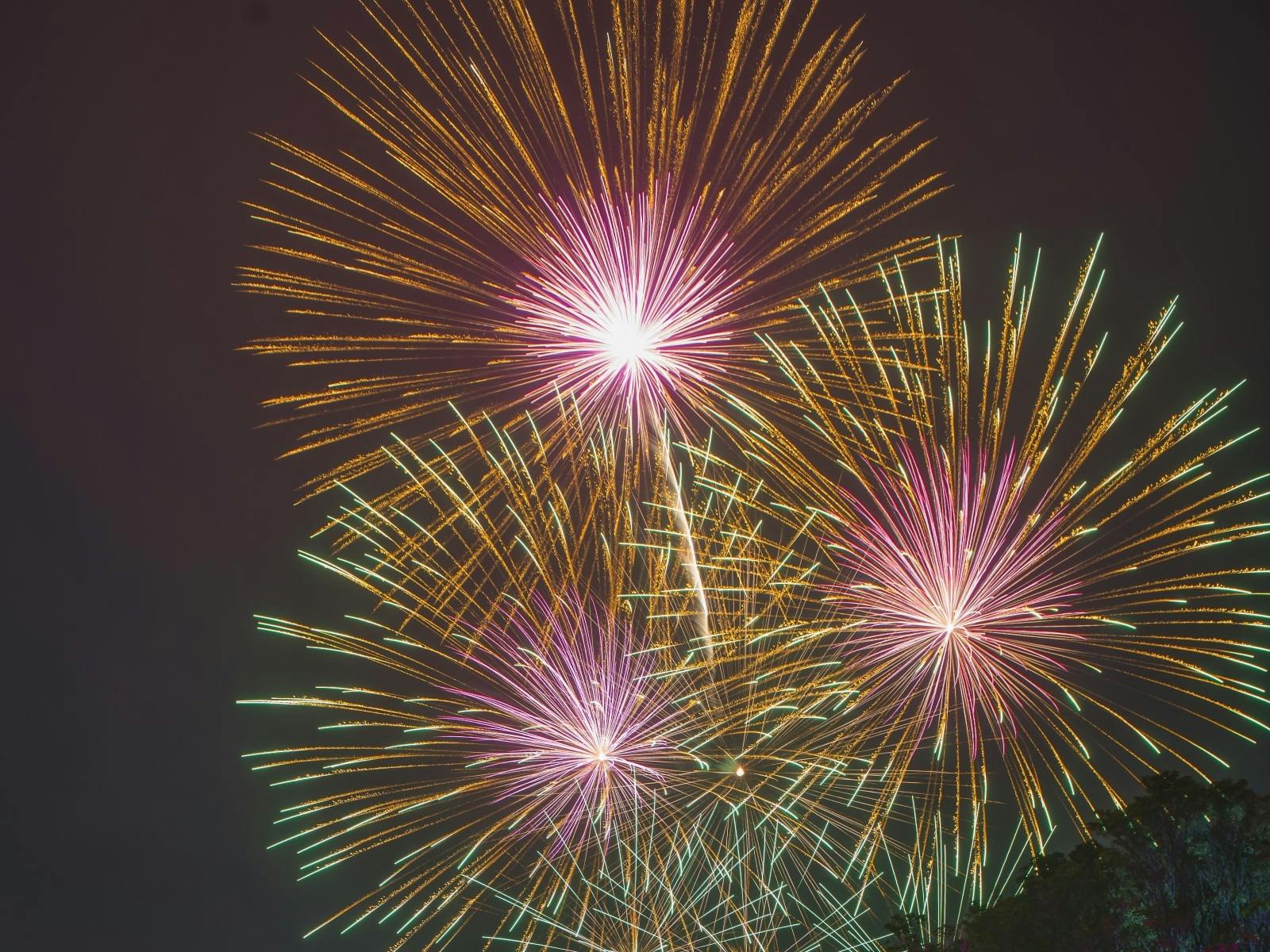 SOLD OUT - New Years Eve at Bradleys Head: The Amphitheatre | Sydney, Australia - Official