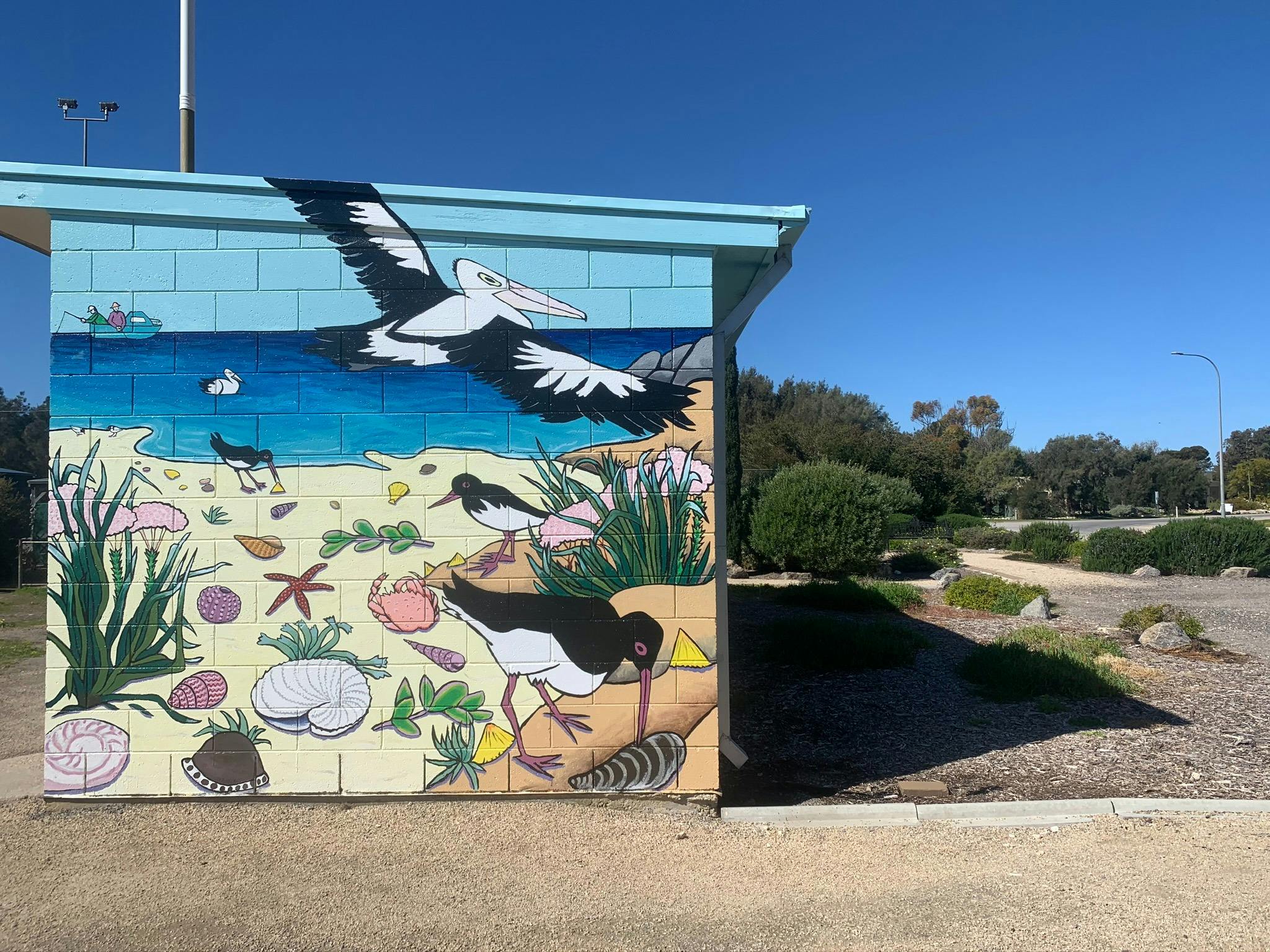 Corny Point Mural – Coastal Wildlife Wall