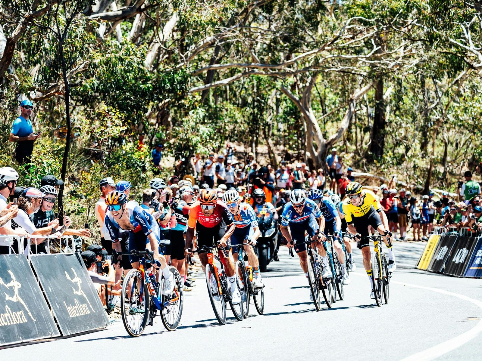 Santos Tour Down Under Men's Stage 5