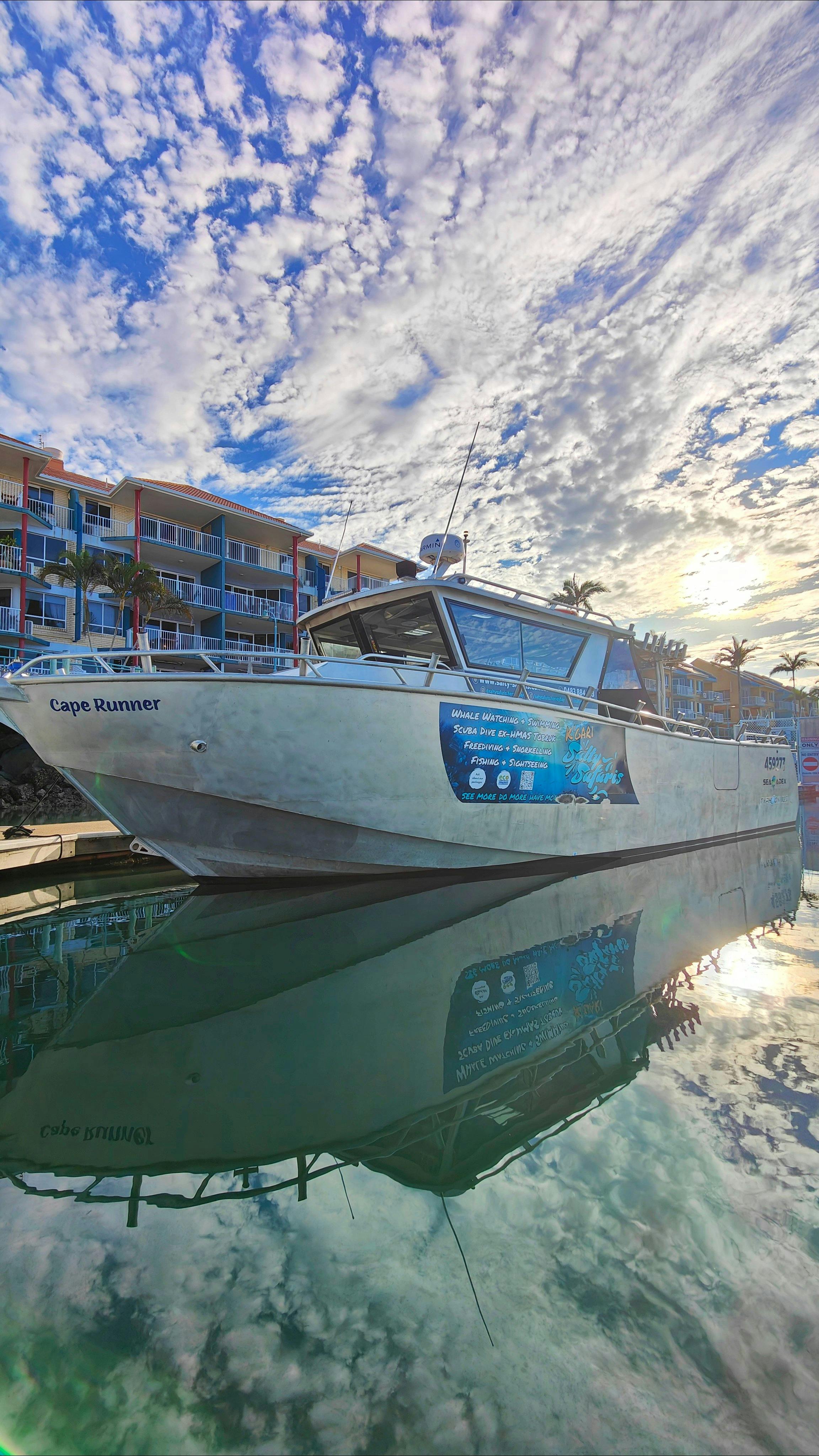 Cape Runner- Salty safaris vessel