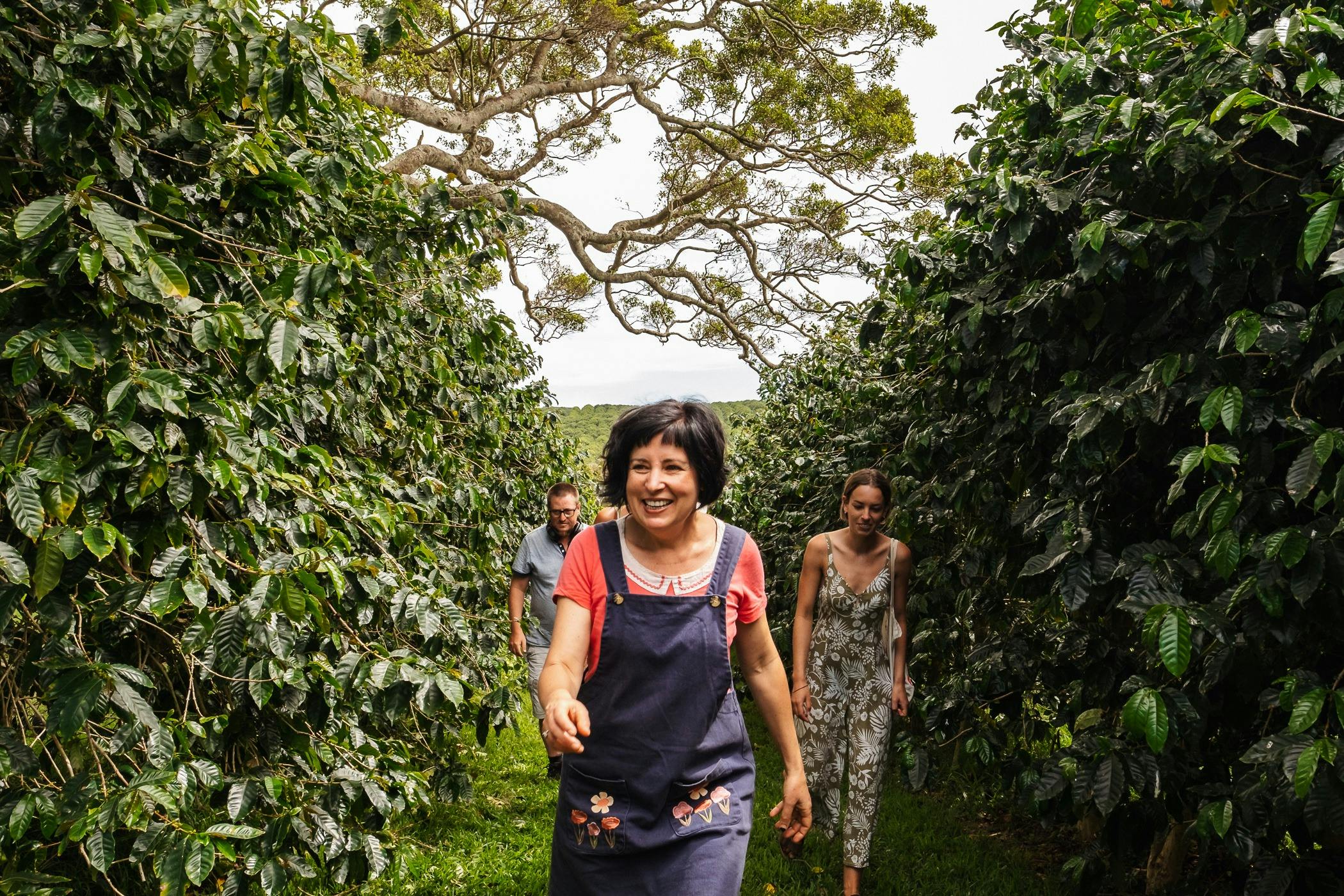 Zentveld's Coffee Plantation