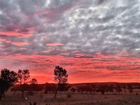 Bright pink sunset over the farm