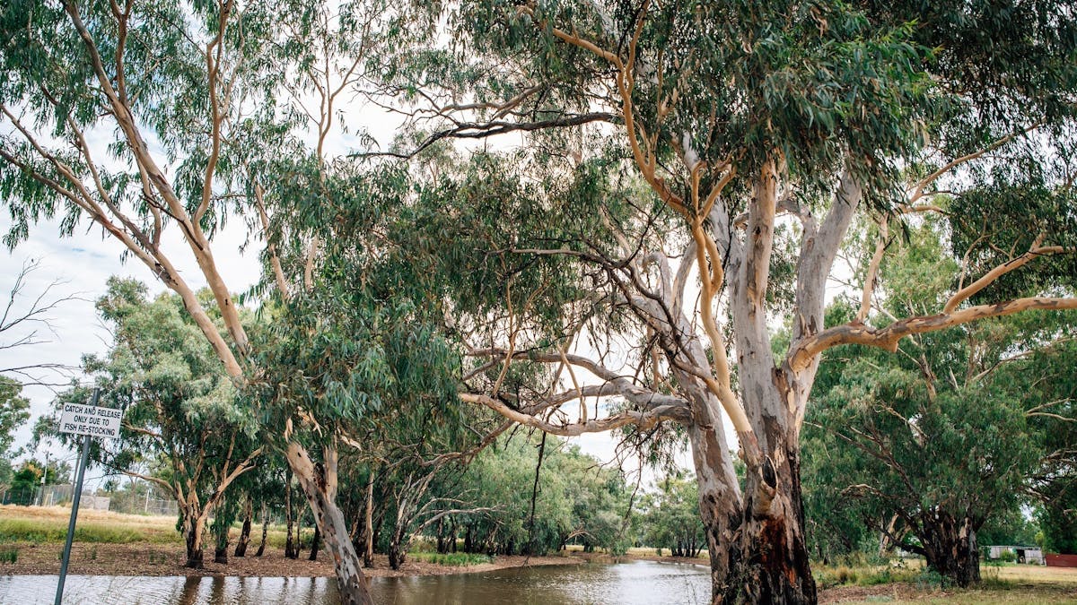 Morven - Sadleir's Waterhole