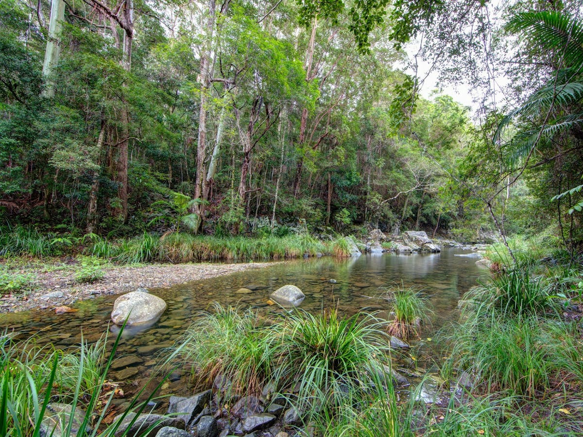 Exploring Stony Creek