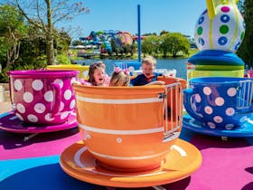Tea Cups spinning around a giant table