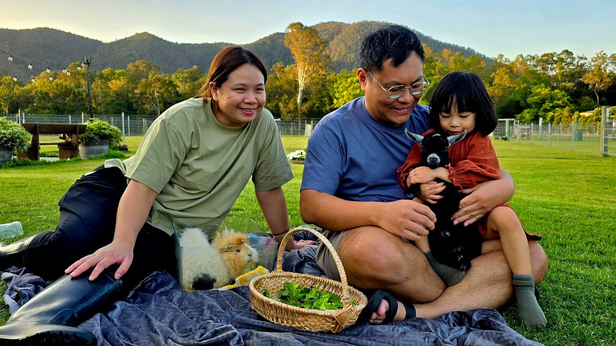 Feed the guinea pigs every afternoon with the host at Fig Tree Farm B&B. Feed the guinea pigs every afternoon with the host at Fig Tree Farm B&B.