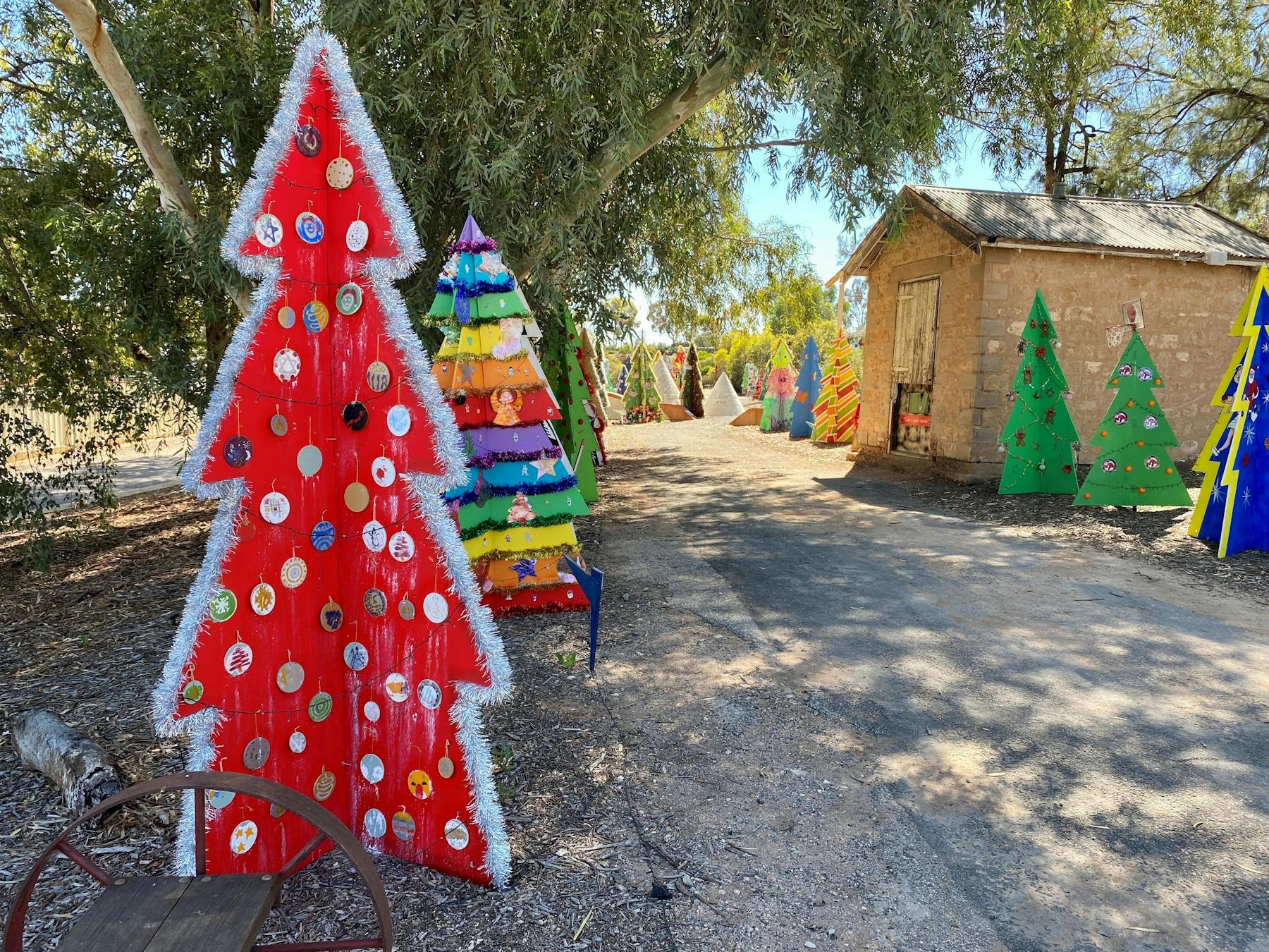 Christmas Tree Trail