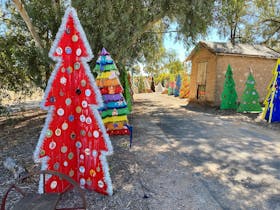 Christmas Tree Trail