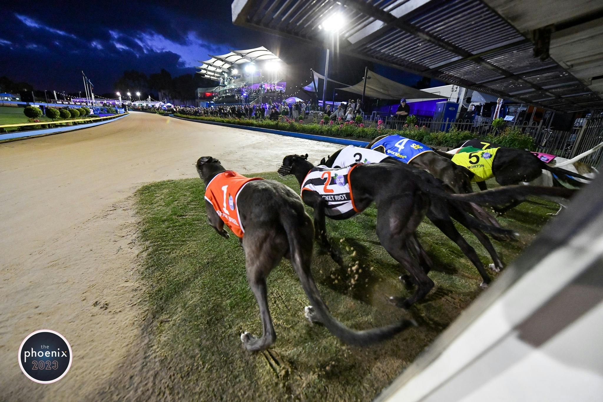 The Meadows was jammed packed for the 2023 edition of The Phoenix.