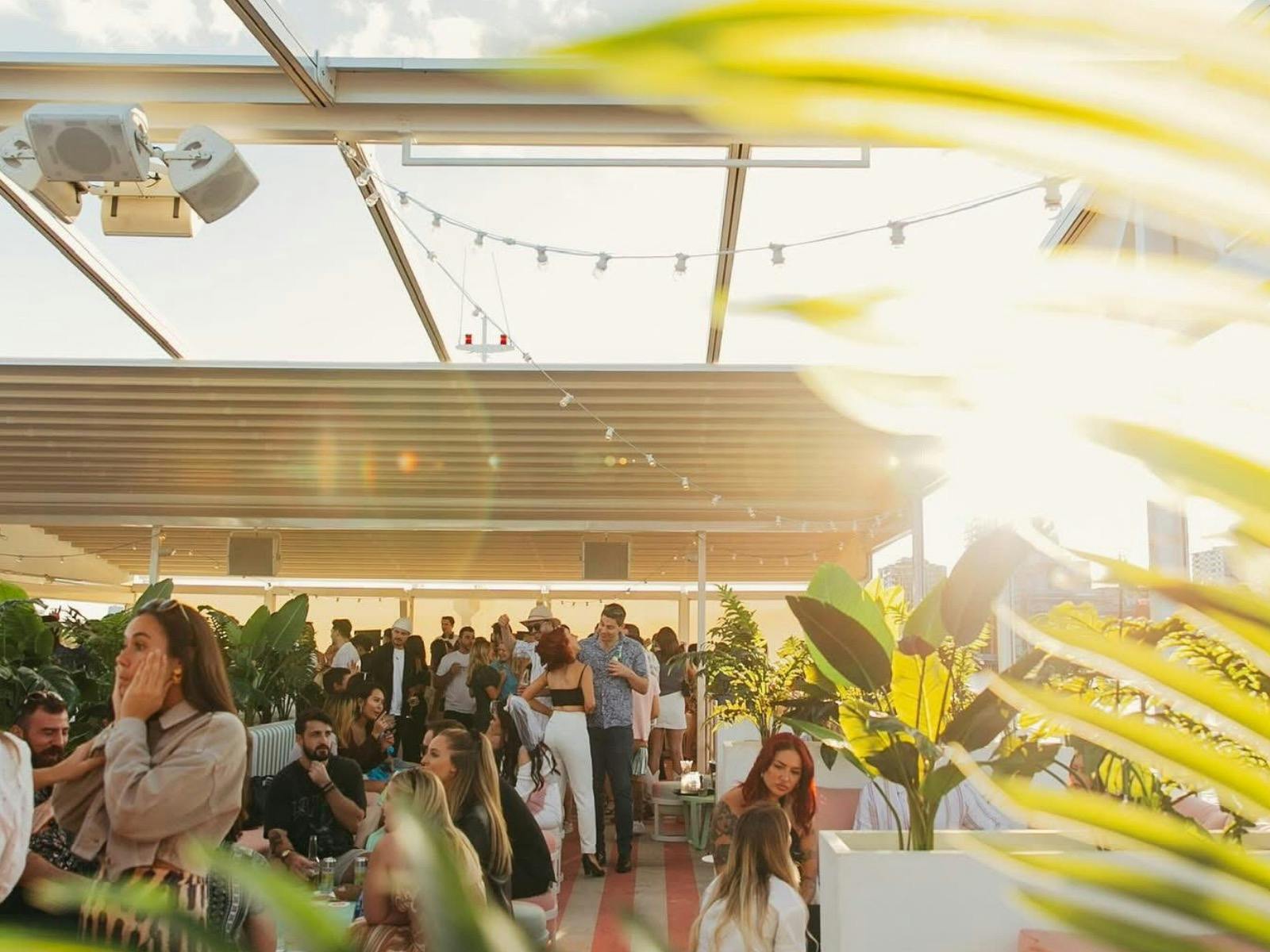 Sun-drenched cruises soaking up Brisbane’s river and city skyline views into sunset