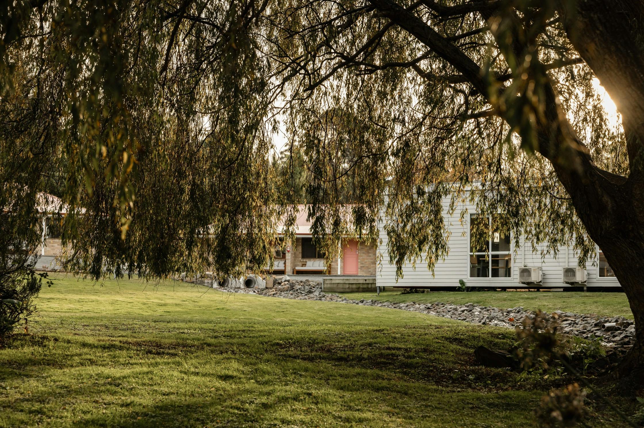 Under the Willow