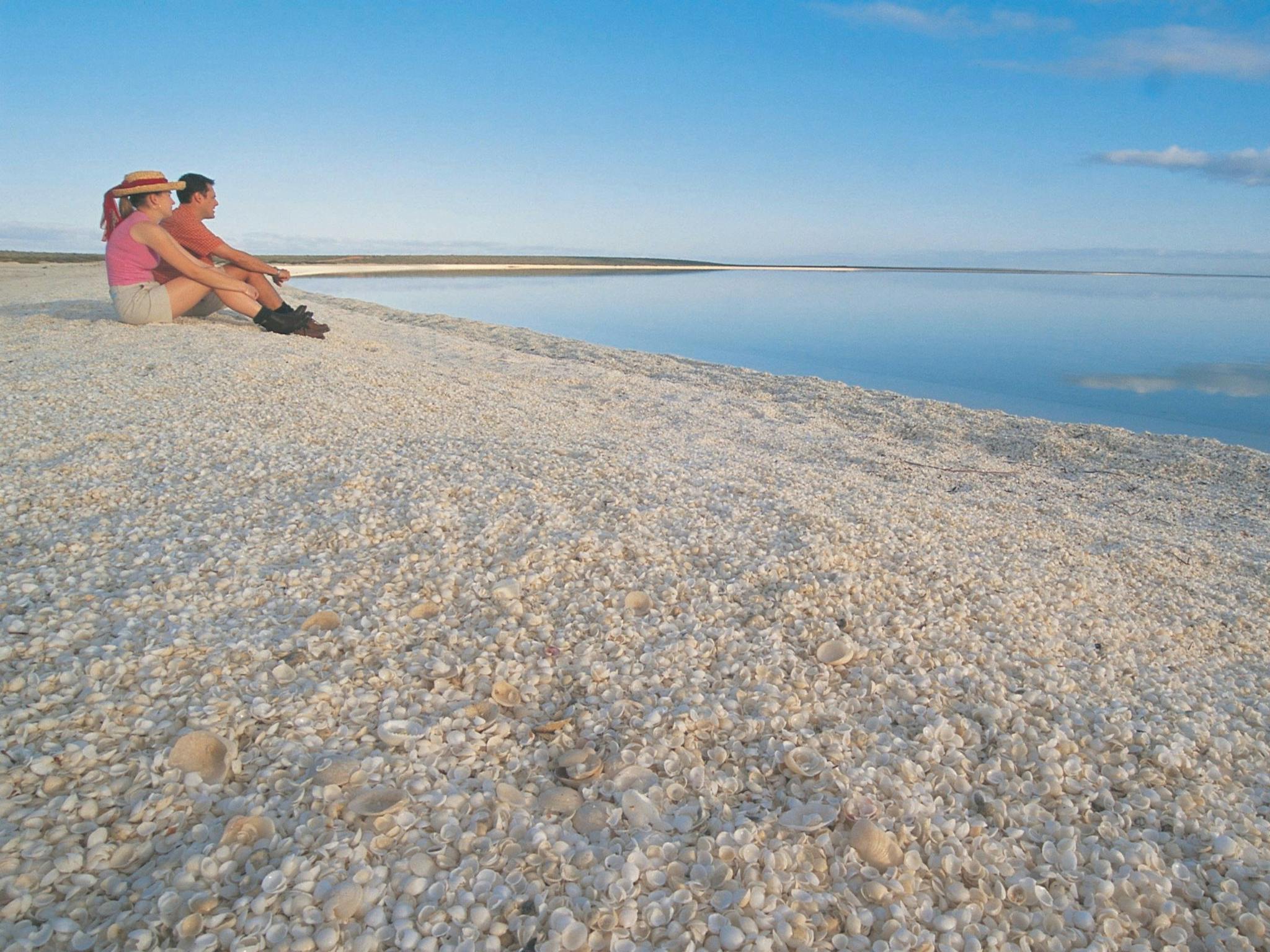 Shell Beach, Denham, Western Australia