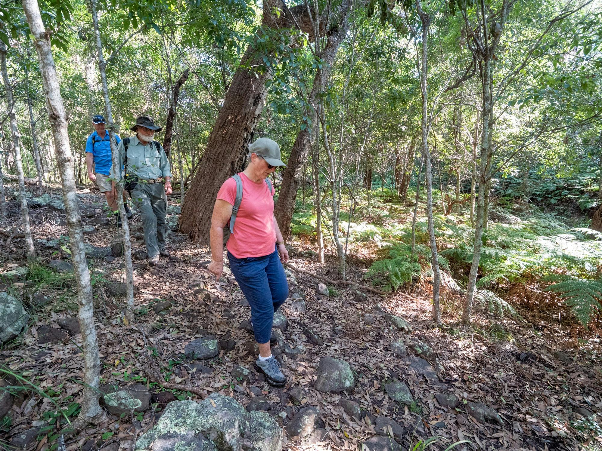 Three guests walking along the track