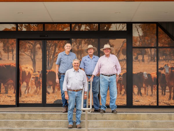 A group of four men dressed in jeans and button-down shirts A group of four men dressed in jeans and button-down shirts