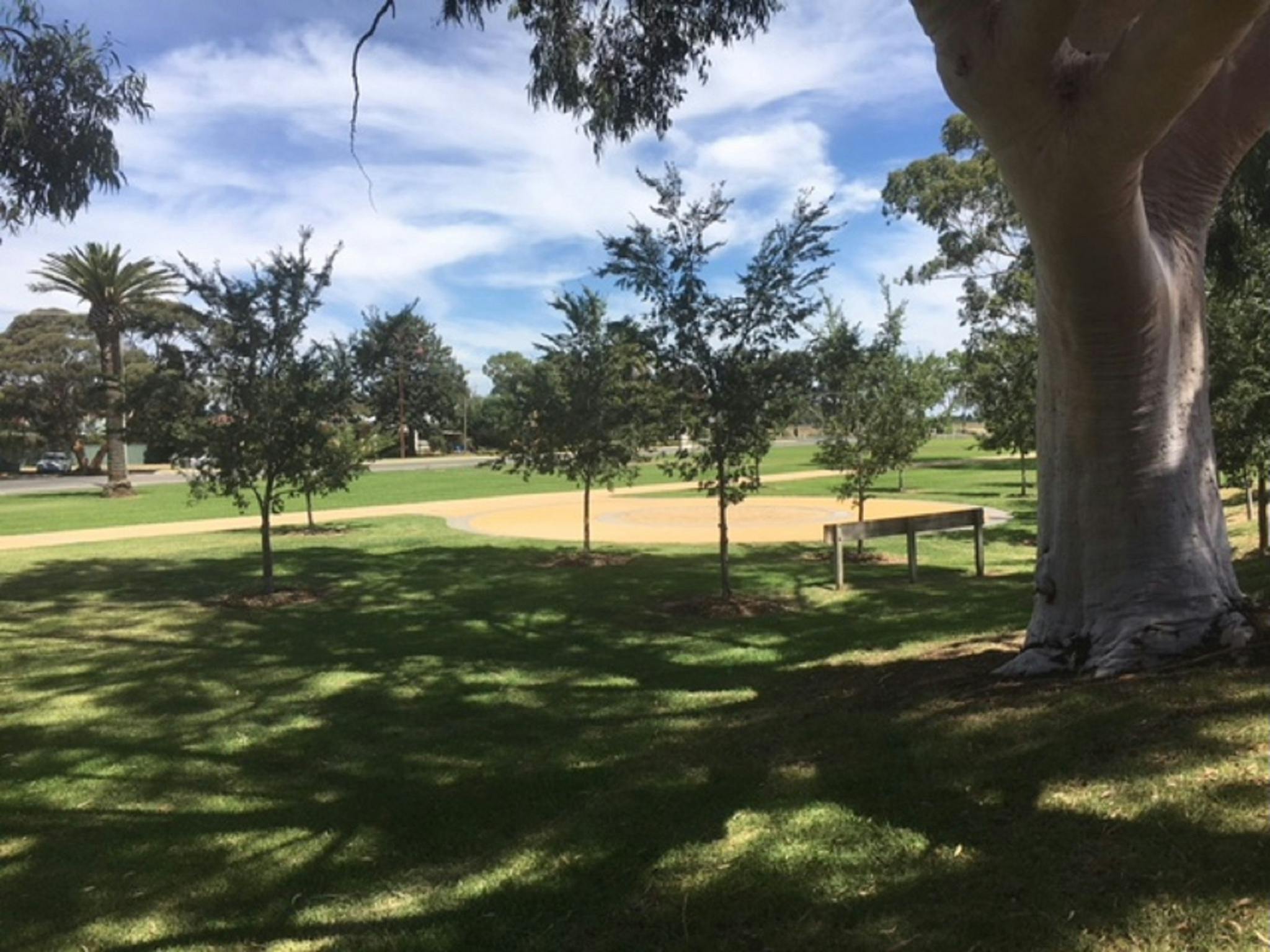 Federation/Lions Club Park