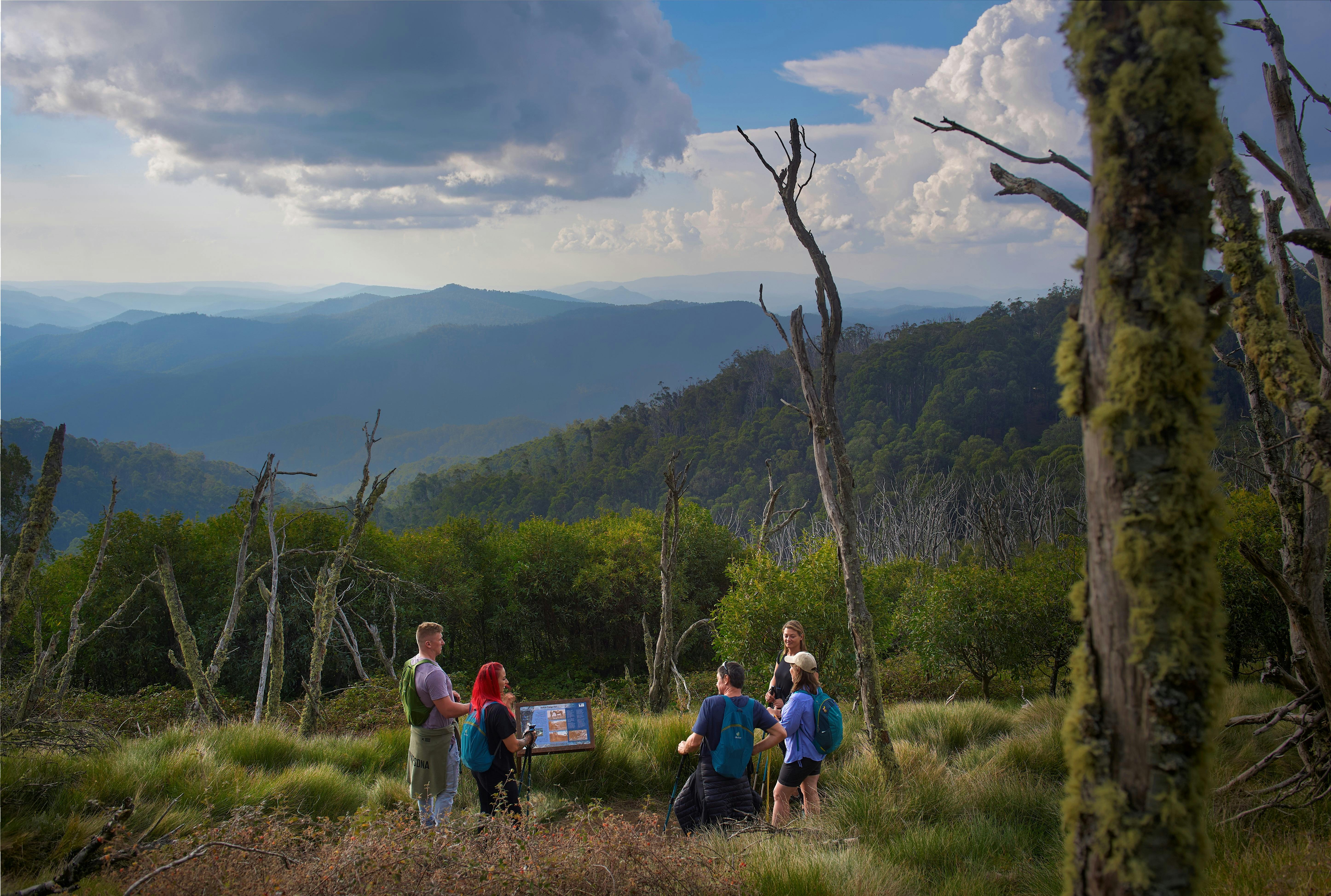 Hikers stopping to read an information board and soak up High Country views up at Clear Hills.