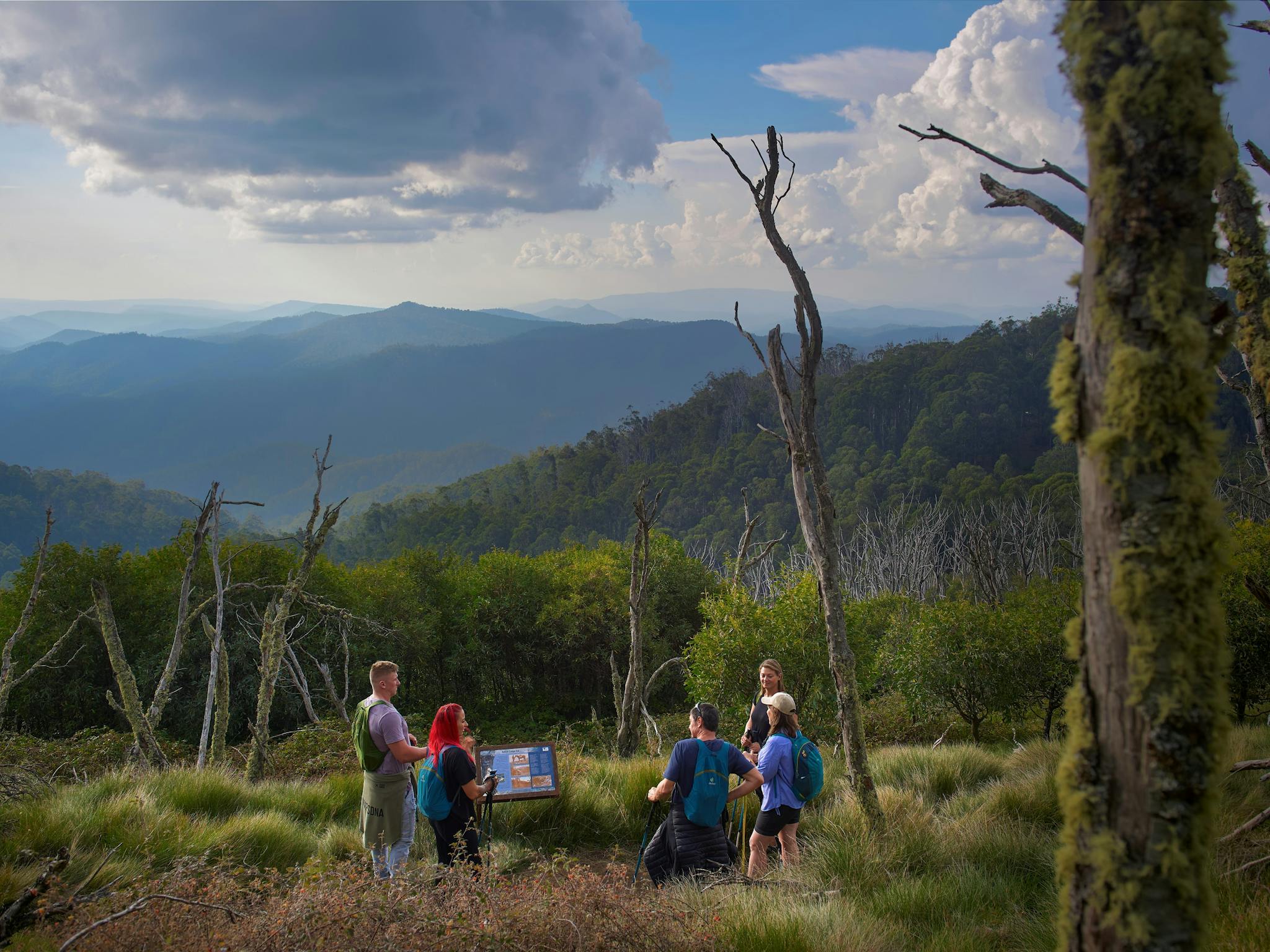 Hikers stopping to read an information board and soak up High Country views up at Clear Hills.