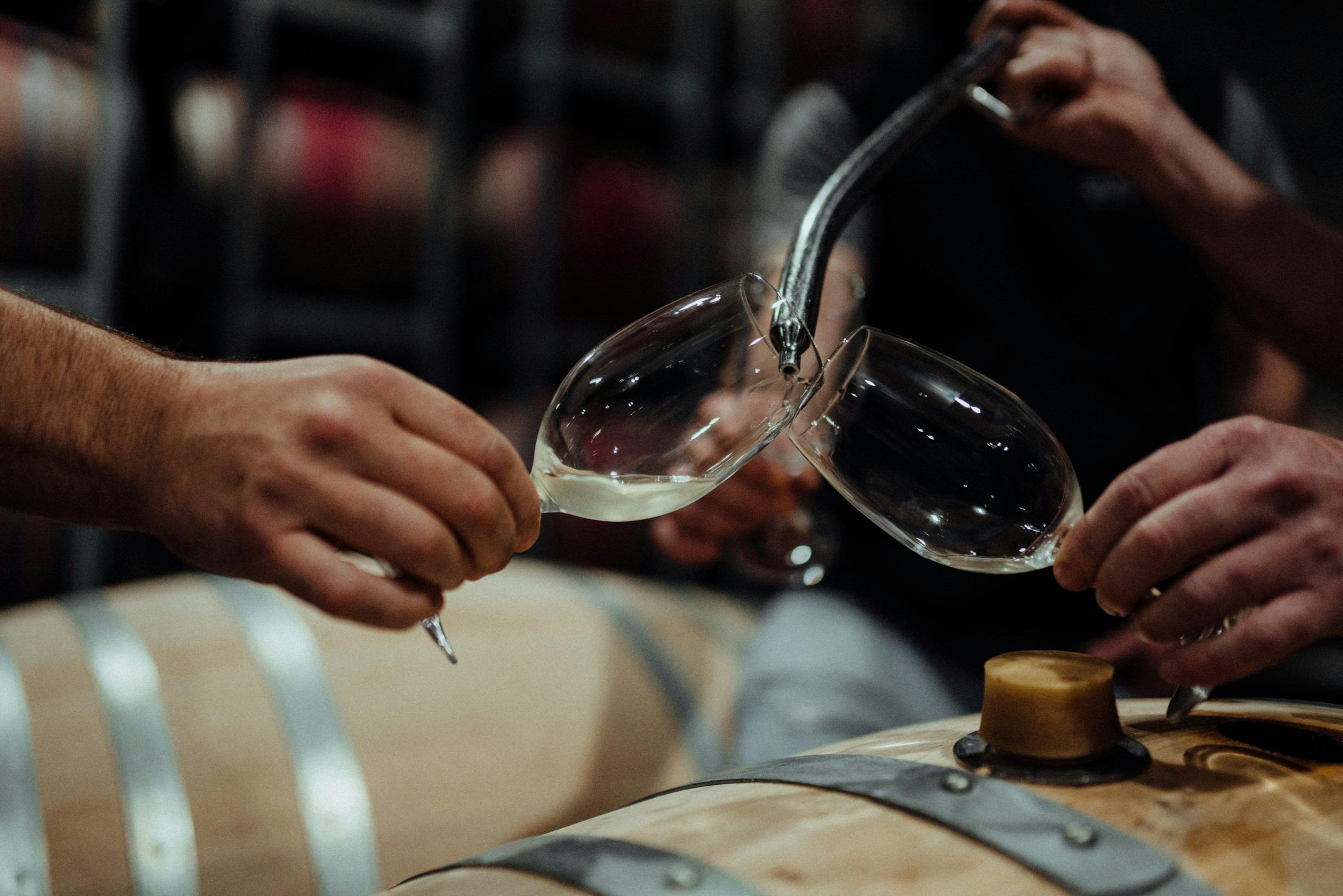 The Wine Adventurer, Western Australia