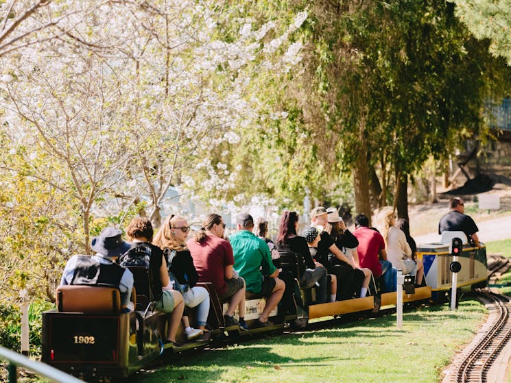 Willans Hill Miniature Railway