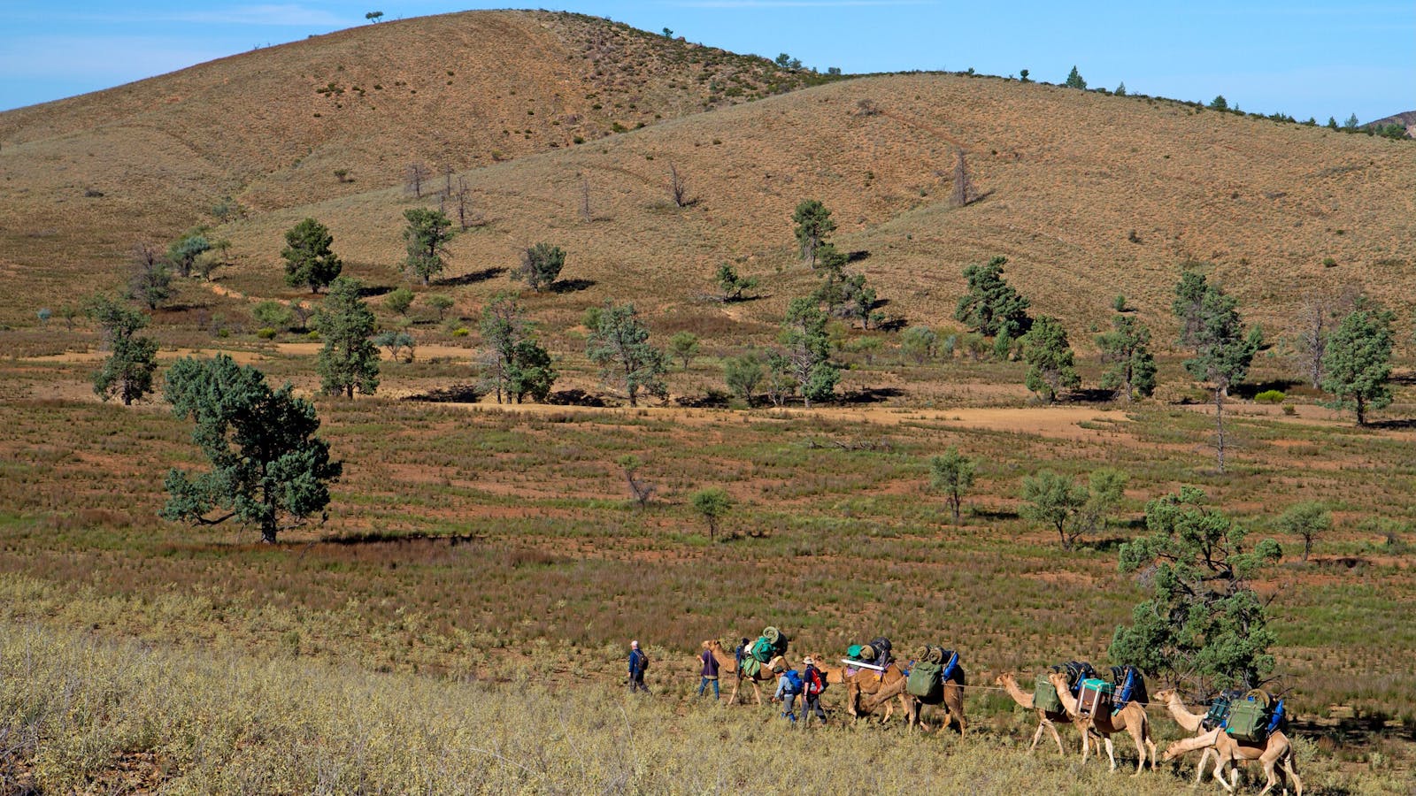 Australian Walking Holidays