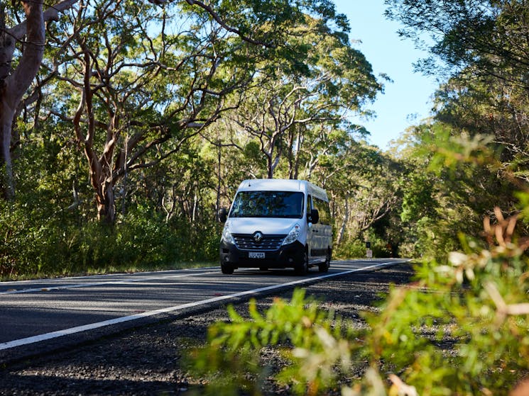 the tour vehicle travelling along a road within the national park