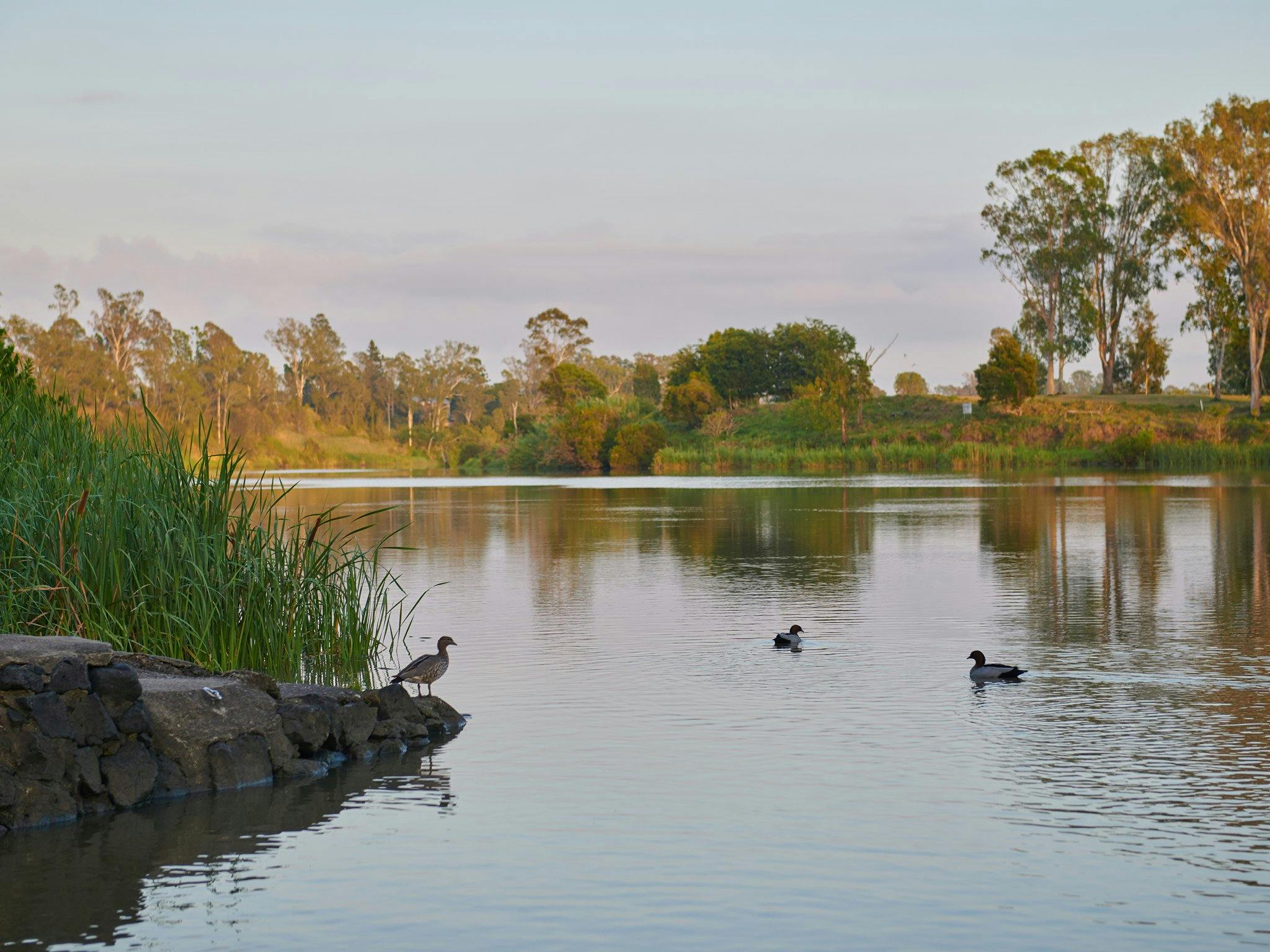 Richardson Park