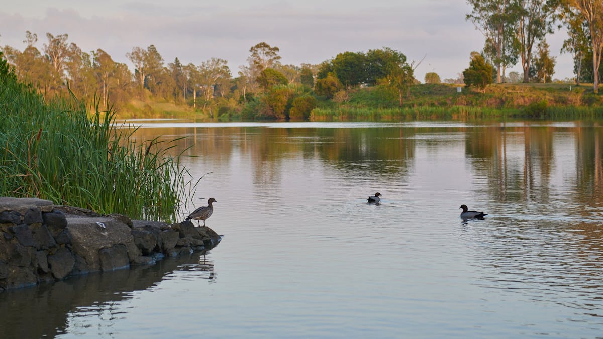 Richardson Park