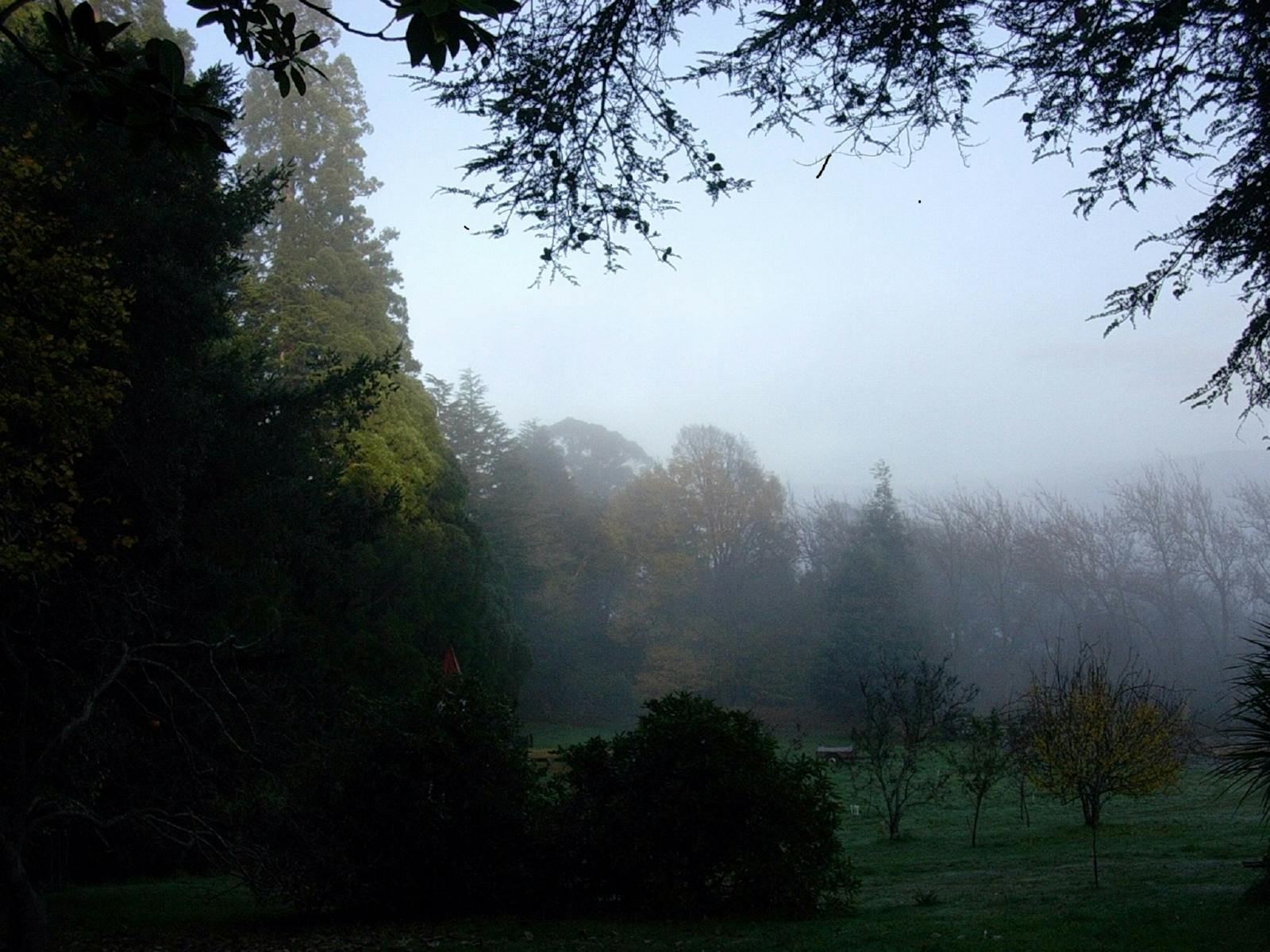 Autumn Mists