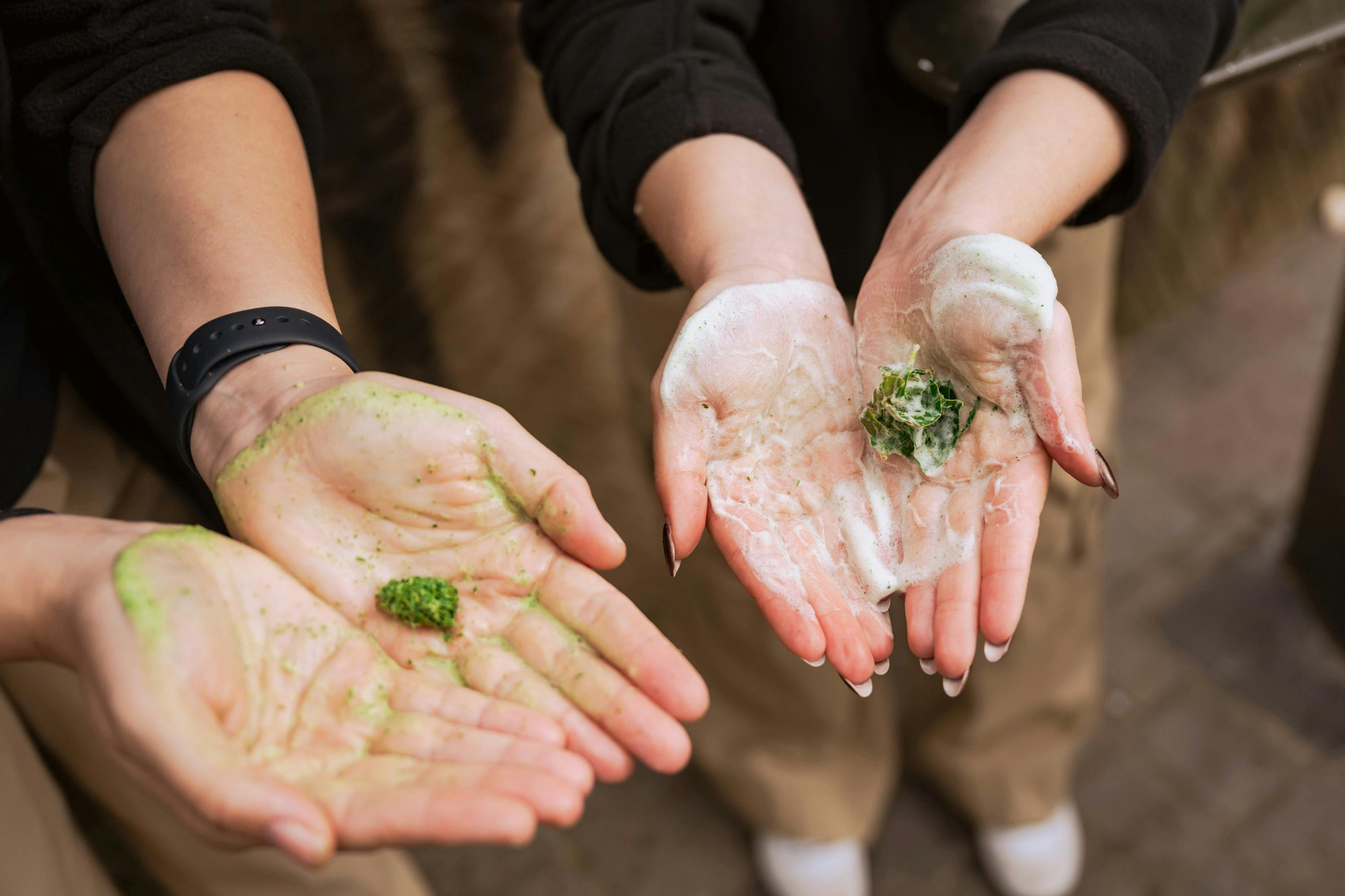 Aboriginal Cultural Tours