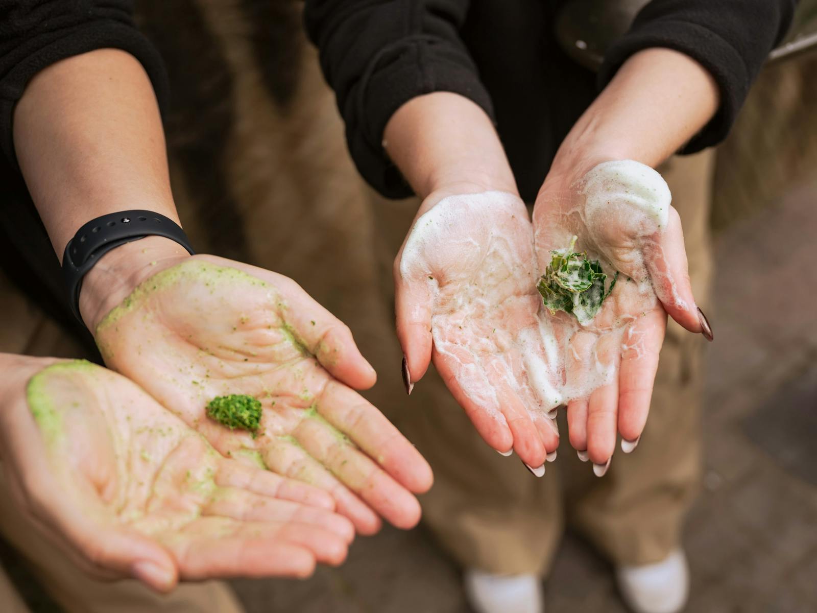 Aboriginal Cultural Tours