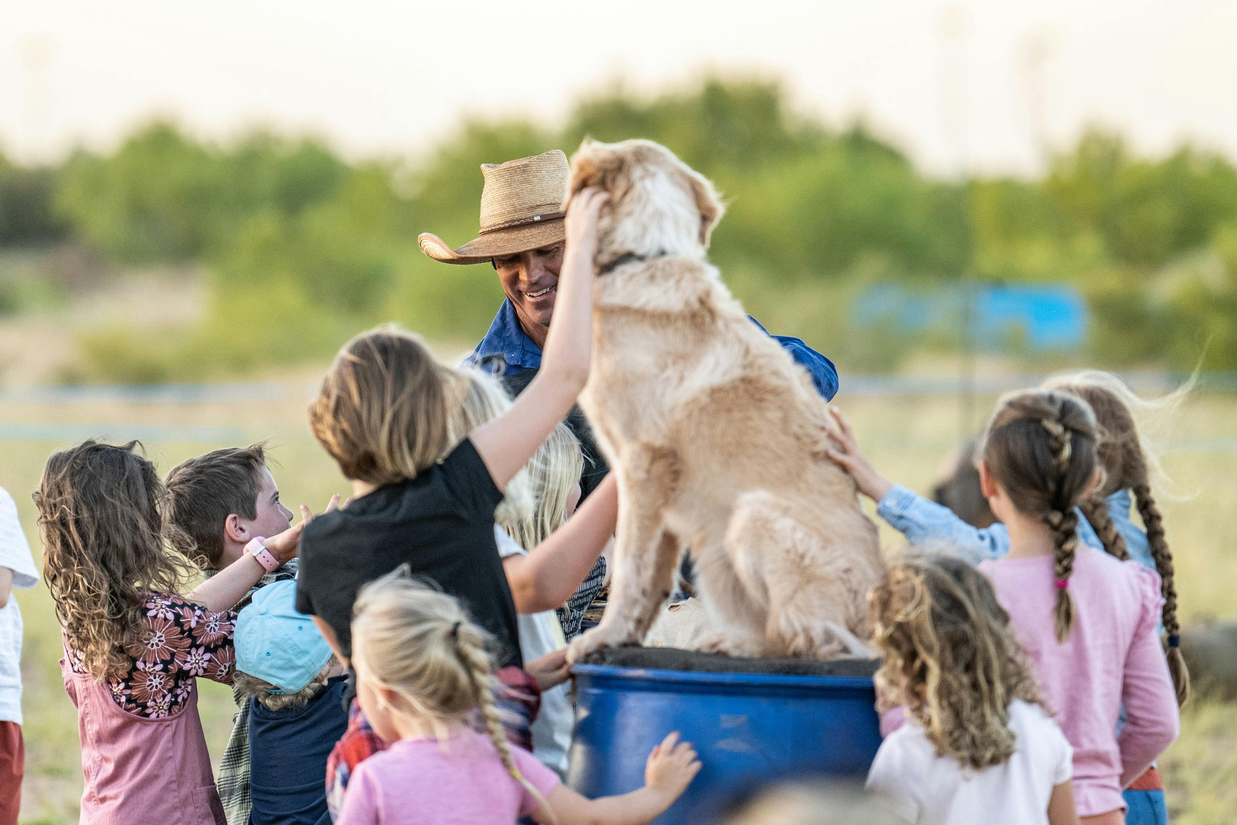 Children "helping" train the working dogs during a Tom Curtain Show