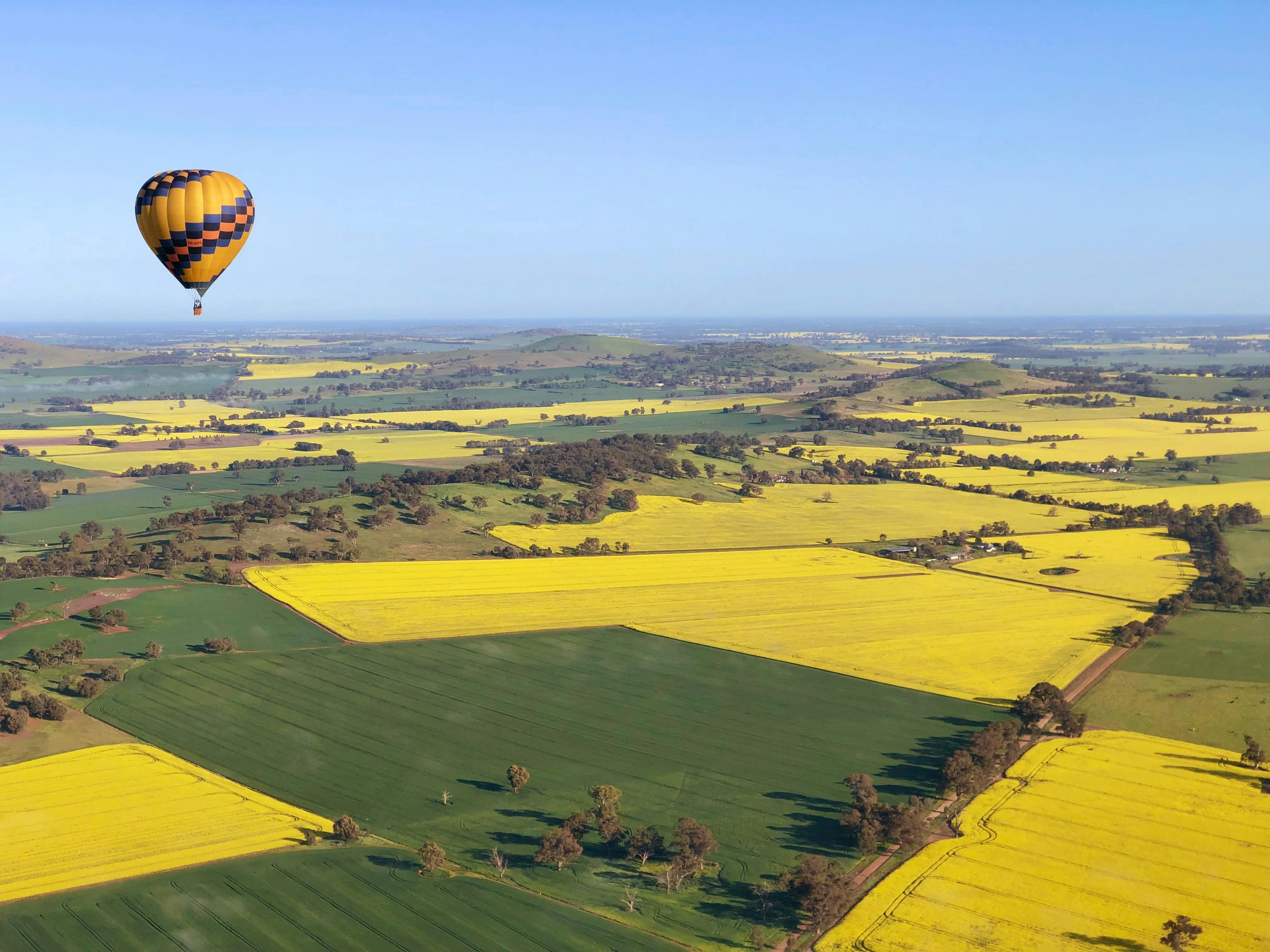 Ballooning over Canola Fields