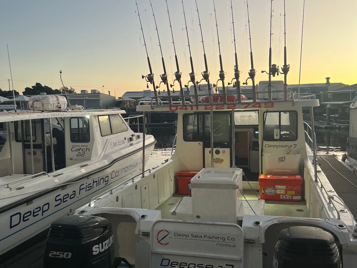 boats