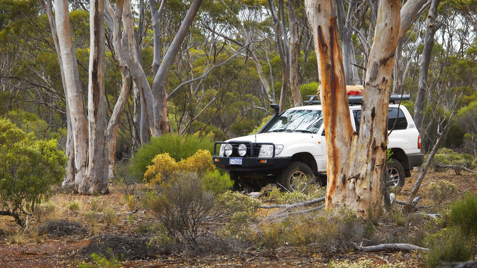 Ravensthorpe Range