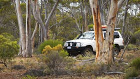 Ravensthorpe Range