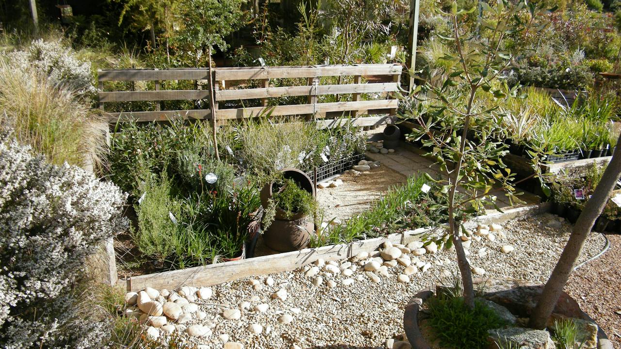 Variety of displays at the nursery